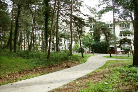 Un nouveau chemin piétonnier